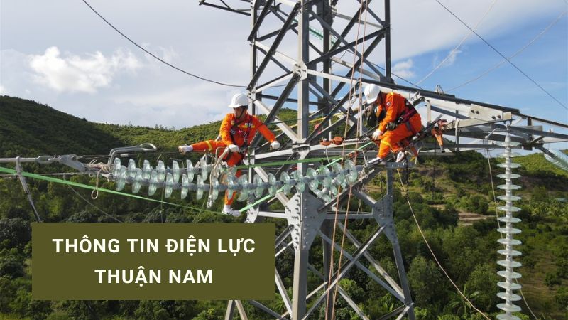 điện lực thuận nam